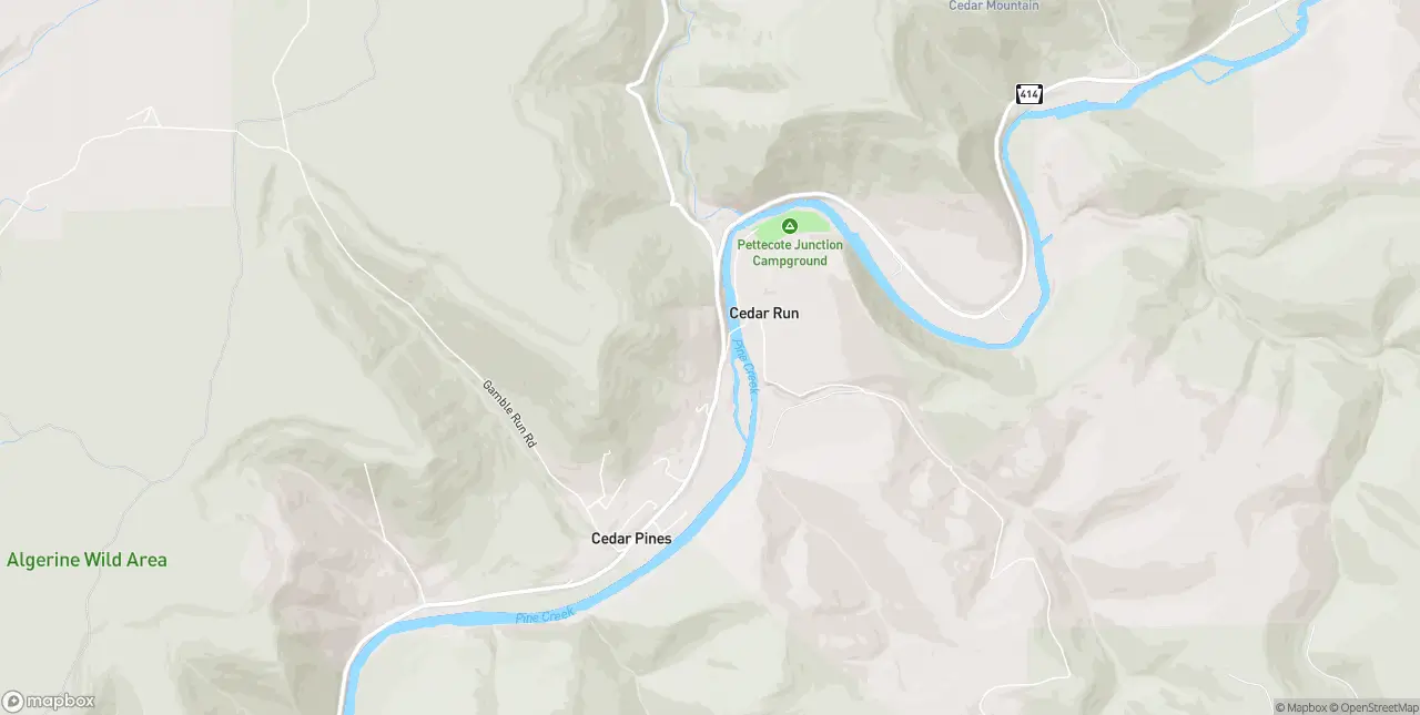 Internet in Cedar Run