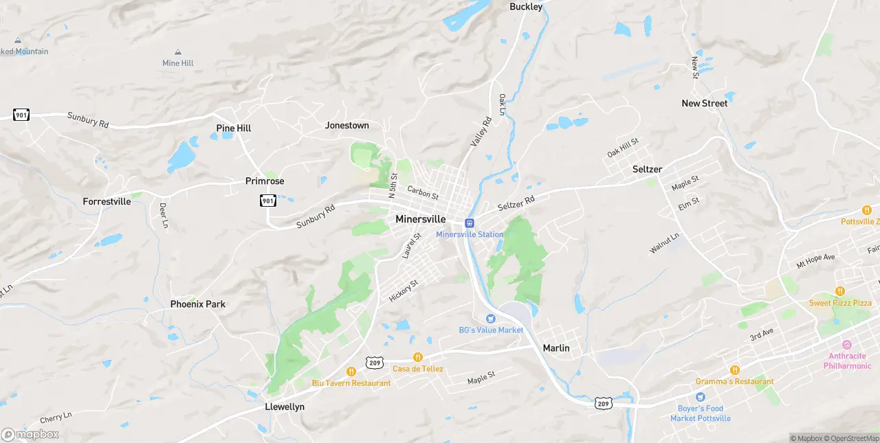 Internet in Minersville