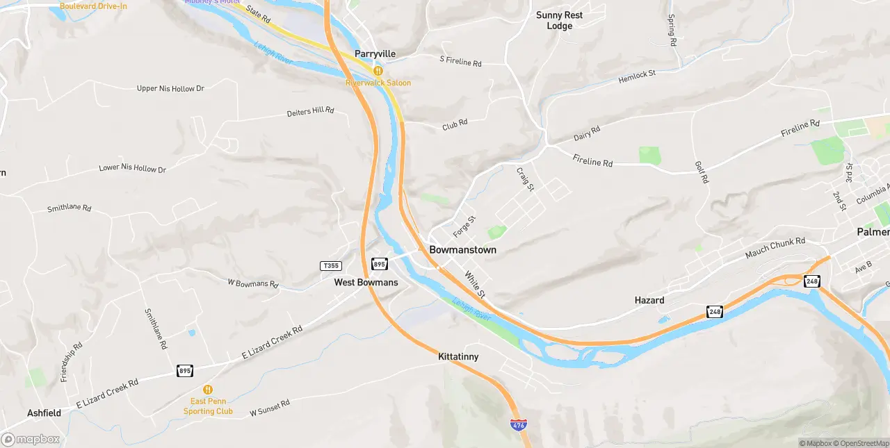Internet in Bowmanstown