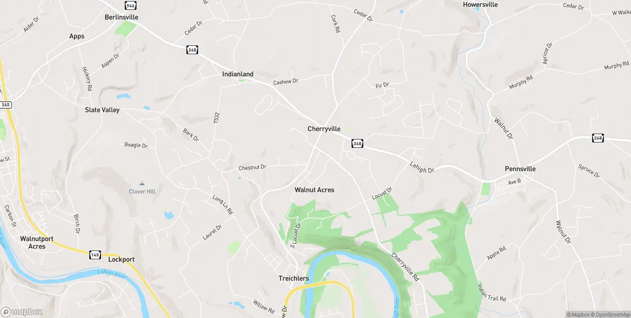 Internet in Cherryville