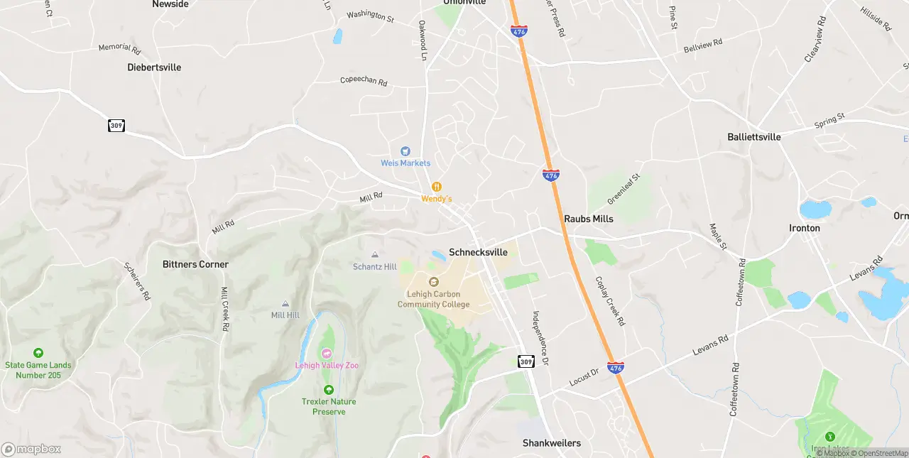 Internet in Schnecksville