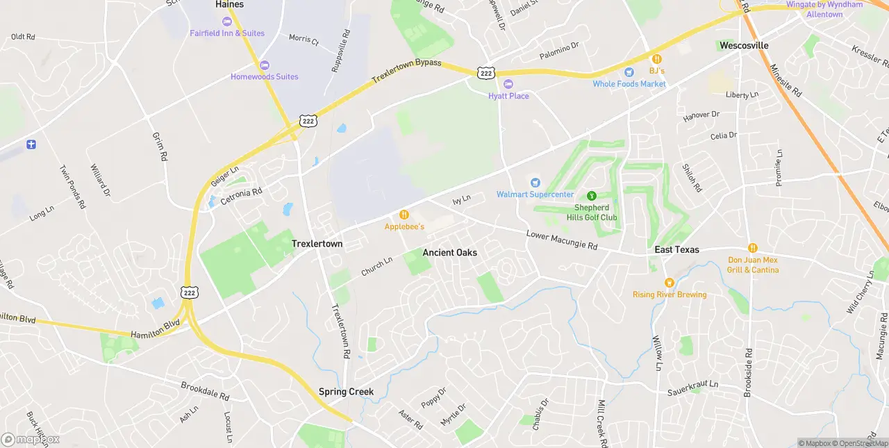 Internet in Trexlertown