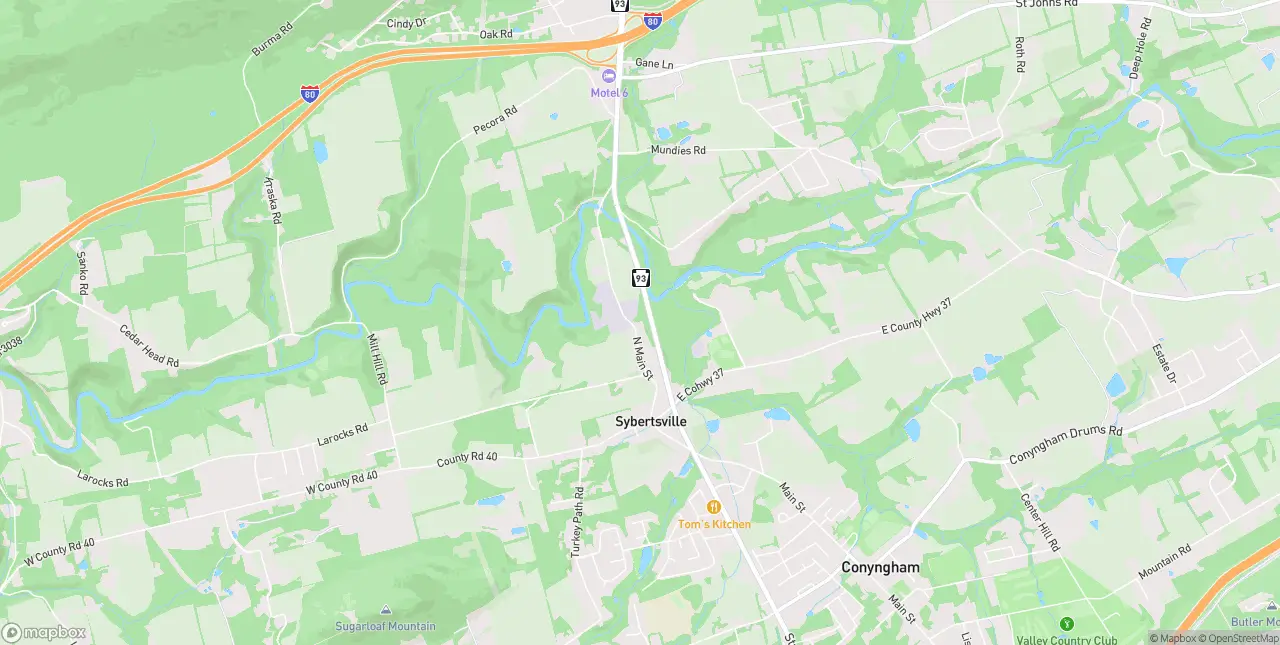 Internet in Sybertsville
