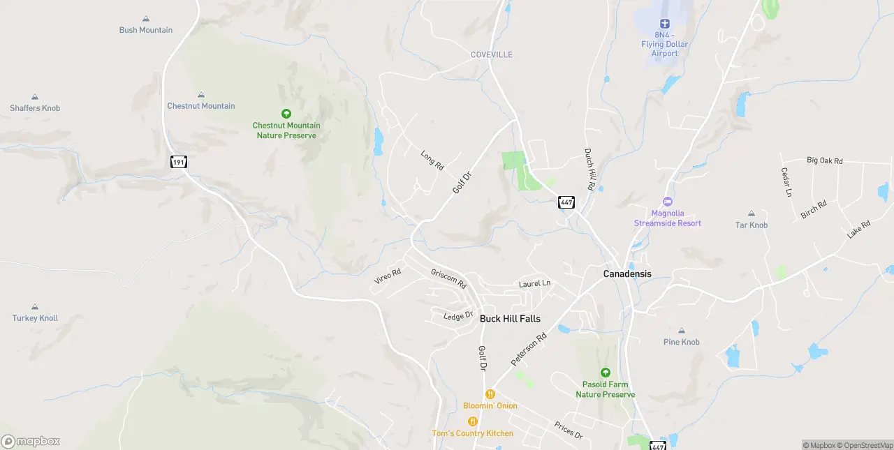 Internet in Buck Hill Falls