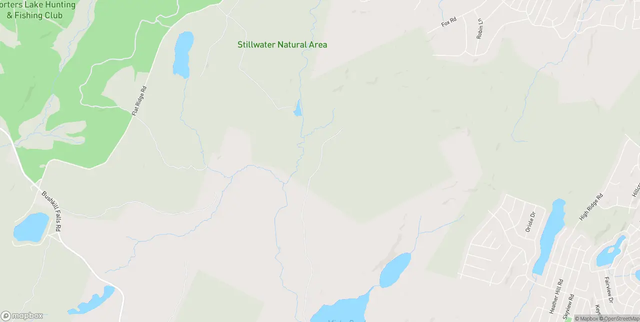 Internet in Dingmans Ferry
