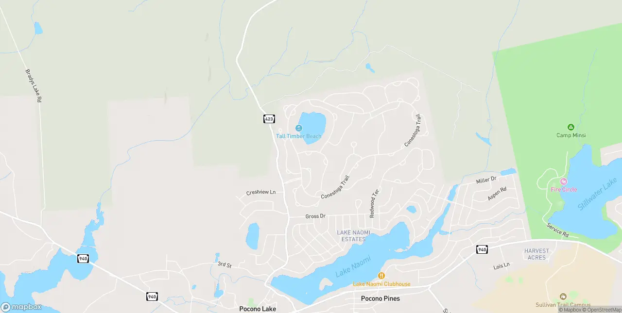 Internet in Pocono Pines