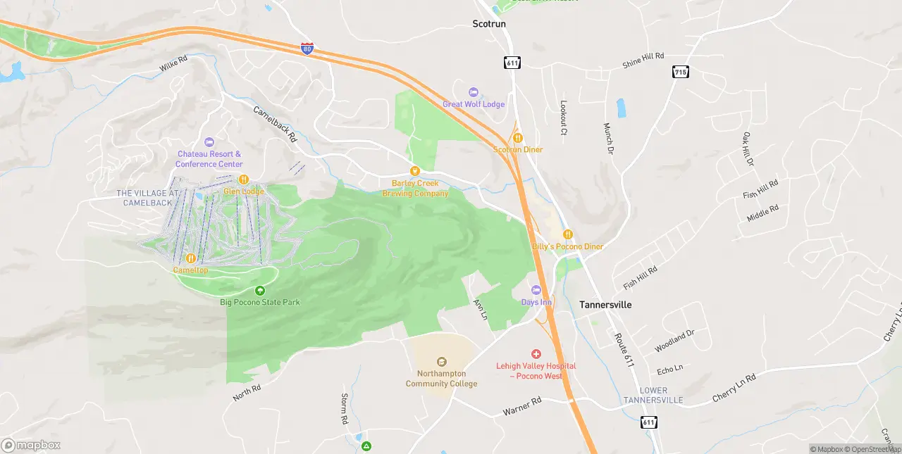 Internet in Tannersville