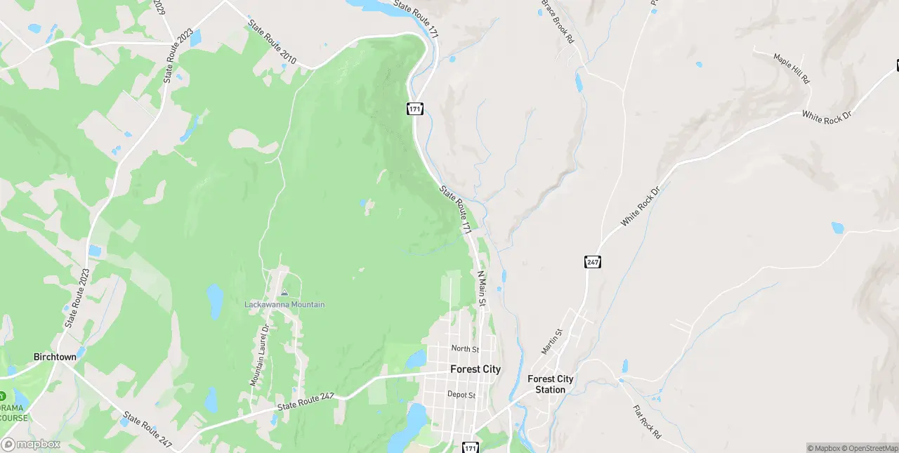 Internet in Forest City