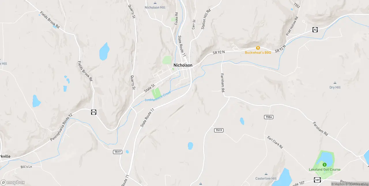 Internet en Nicholson