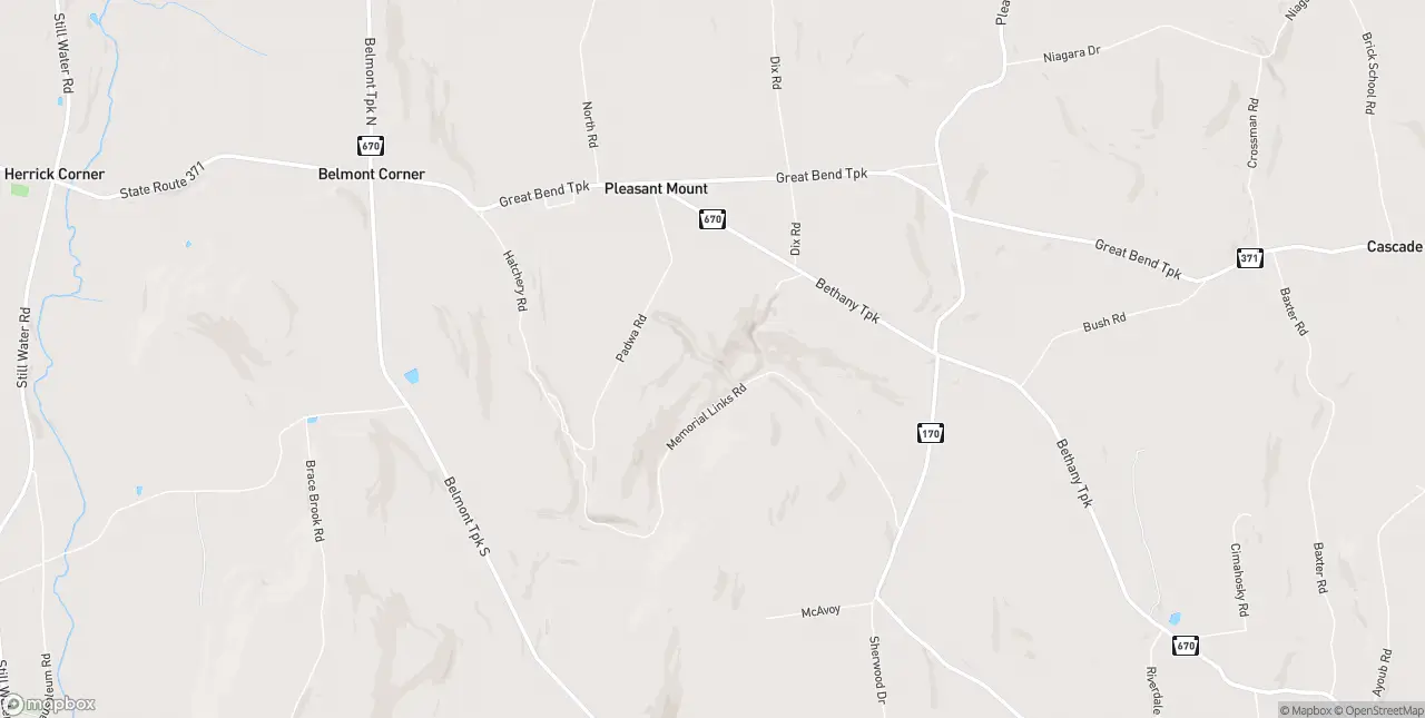 Internet in Pleasant Mount