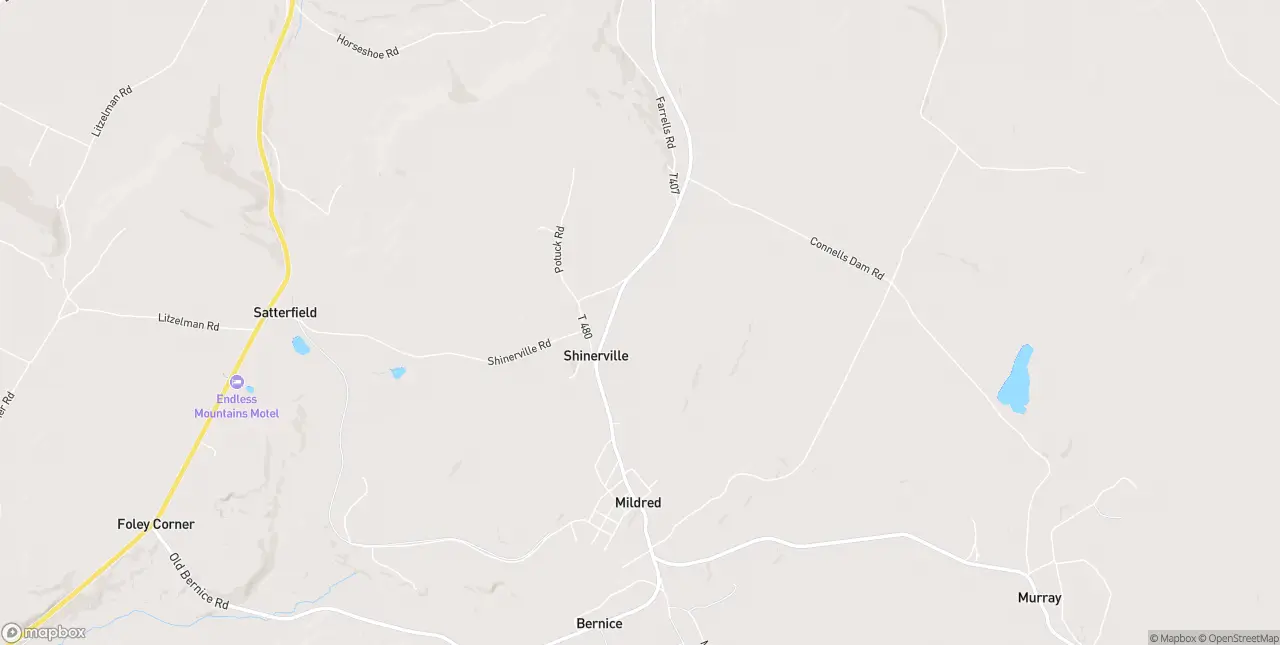 Internet in Dushore