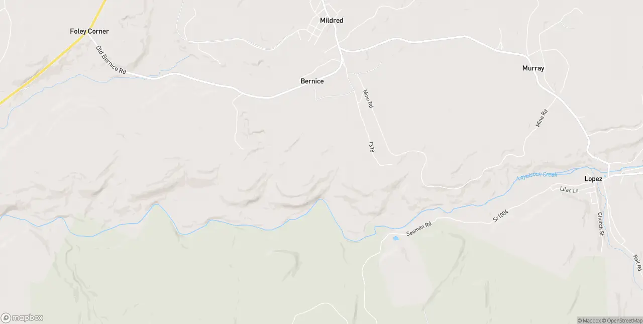 Internet in Mildred