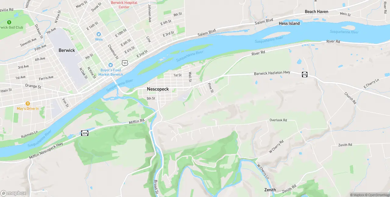 Internet in Nescopeck