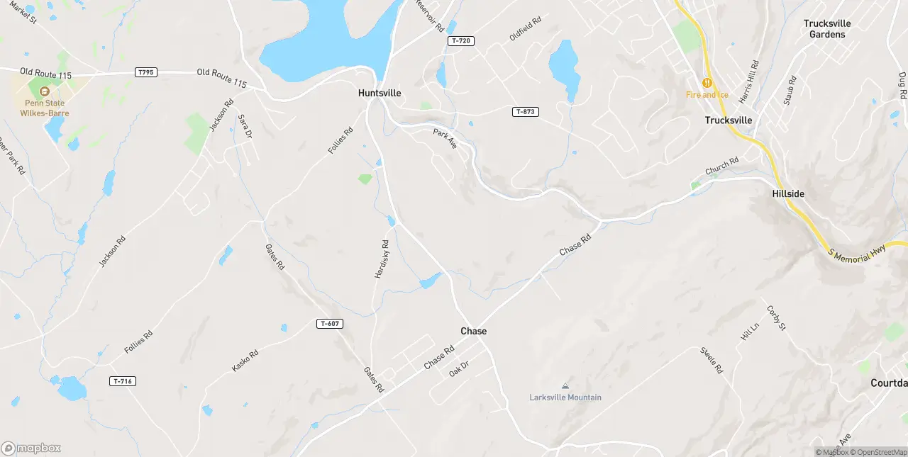 Internet in Shavertown