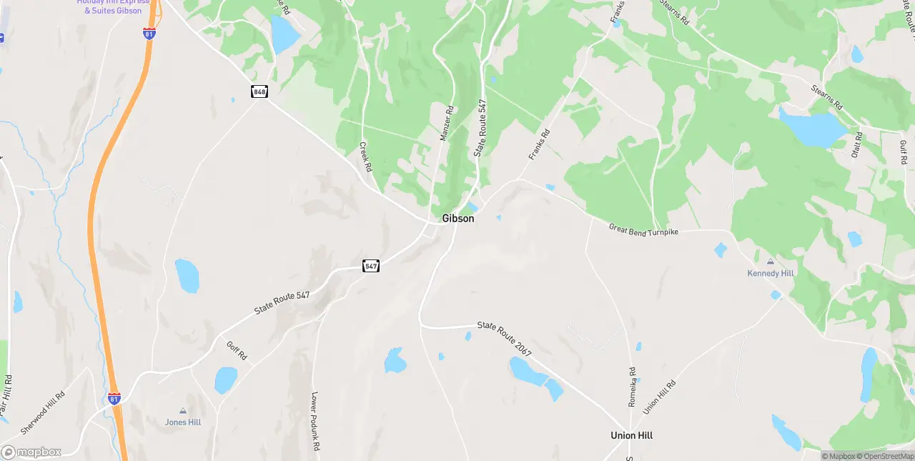 Internet in Gibson