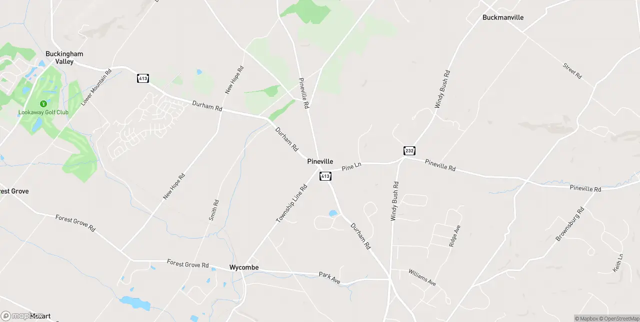 Internet in Pineville