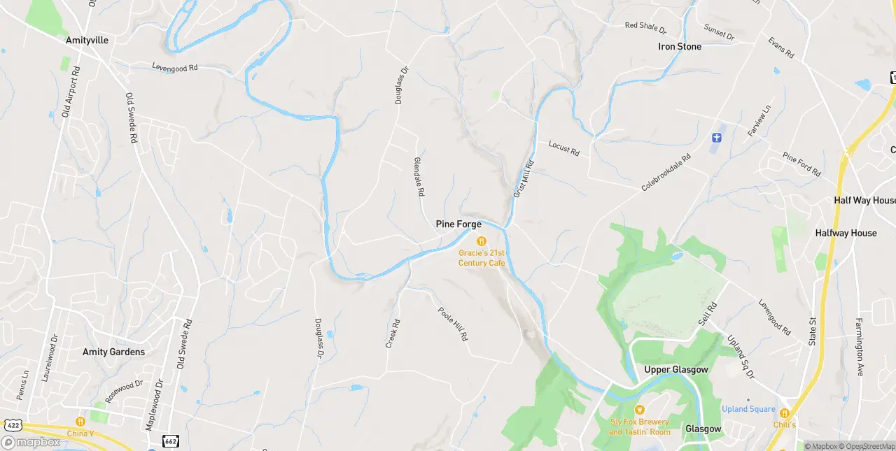 Internet in Pine Forge