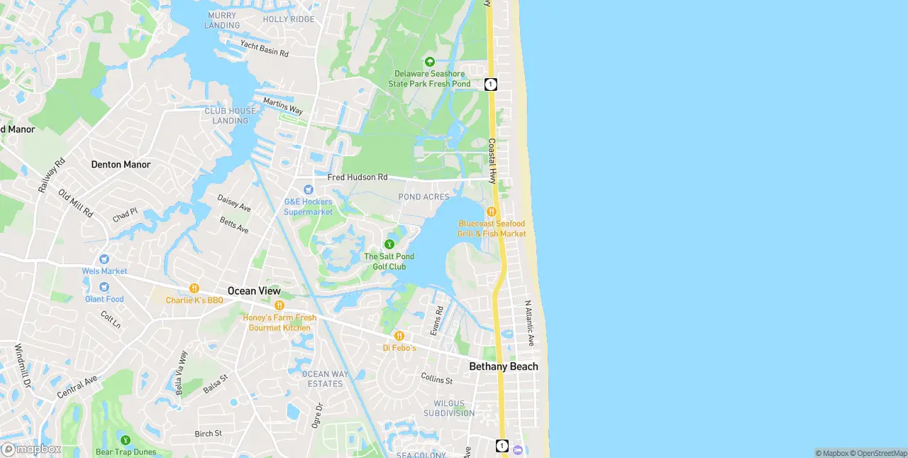 Internet in Bethany Beach