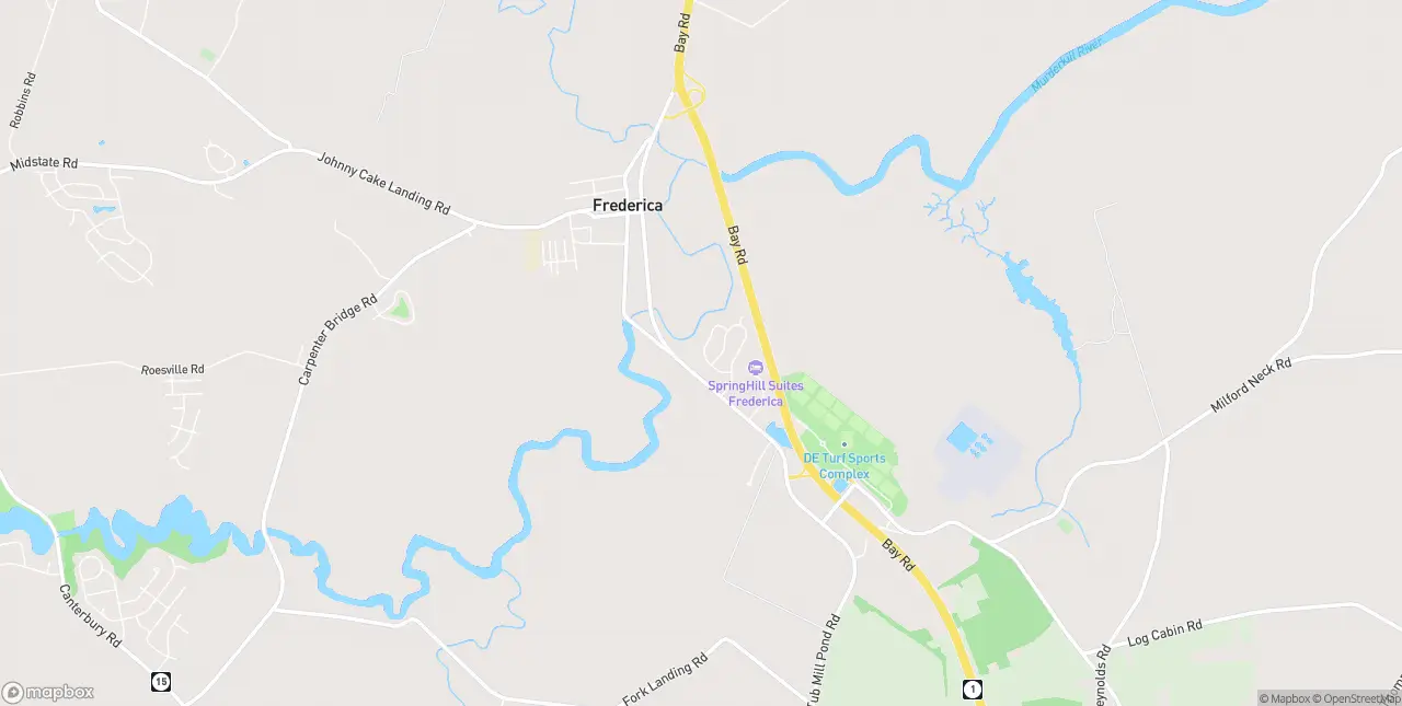 Internet in Frederica