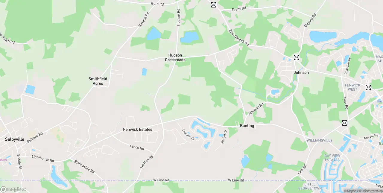 Internet in Selbyville