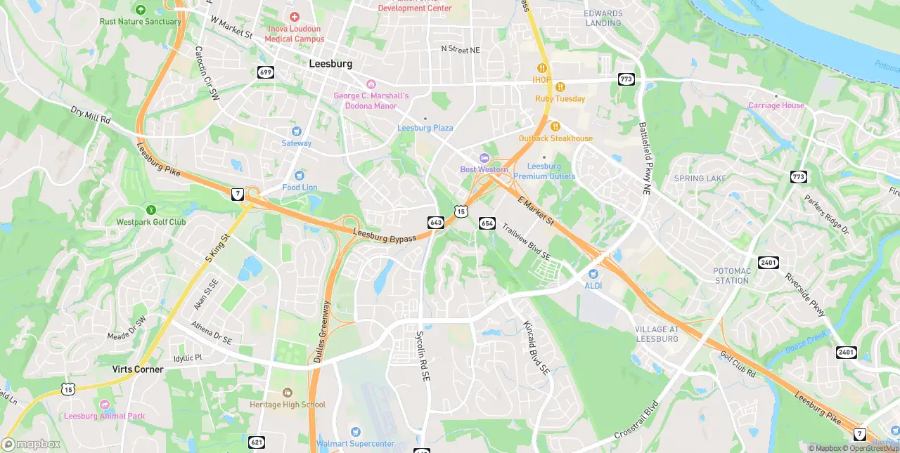 Internet in Leesburg