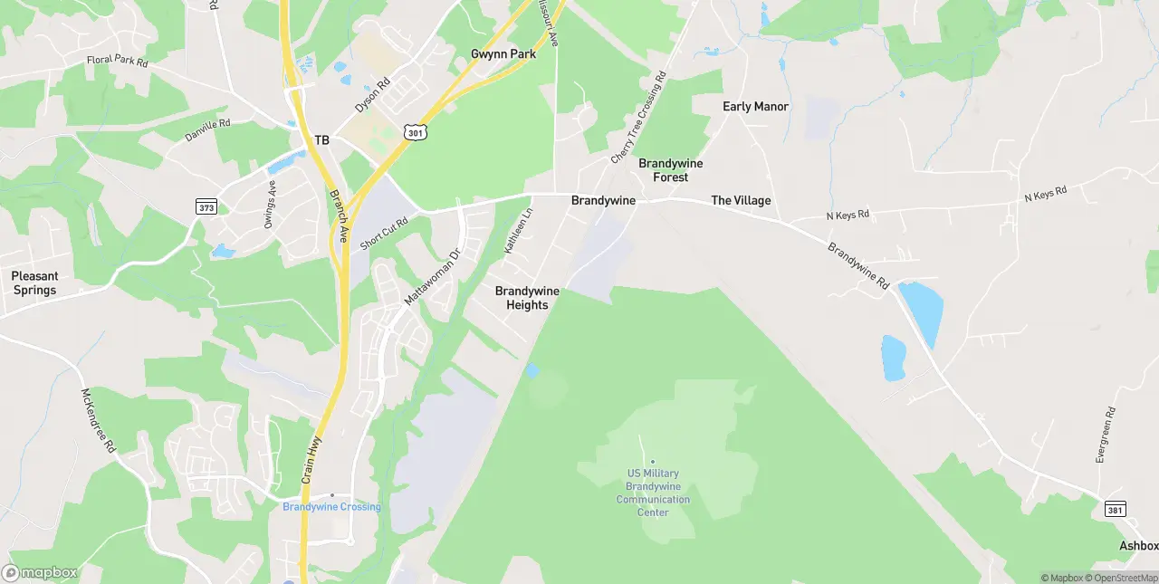 Internet in Brandywine