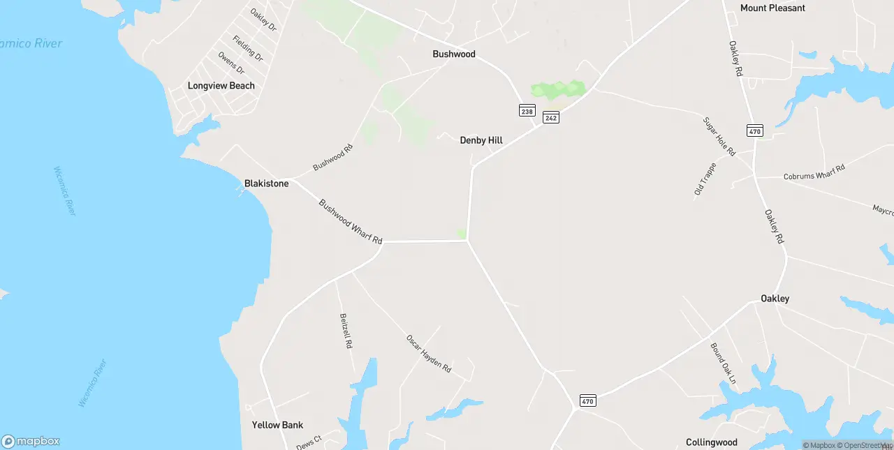 Internet in Bushwood