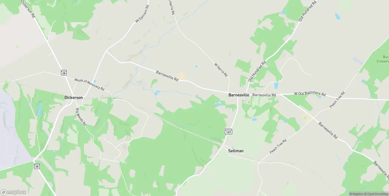 Internet in Barnesville