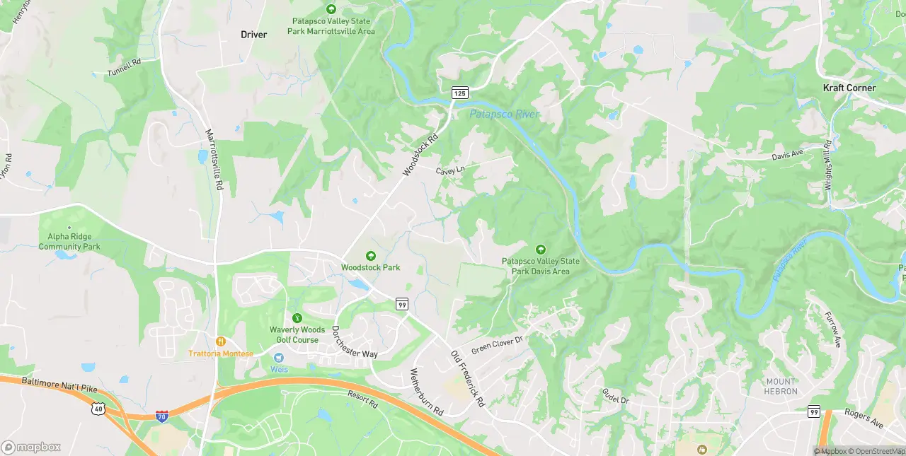 Internet in Woodstock