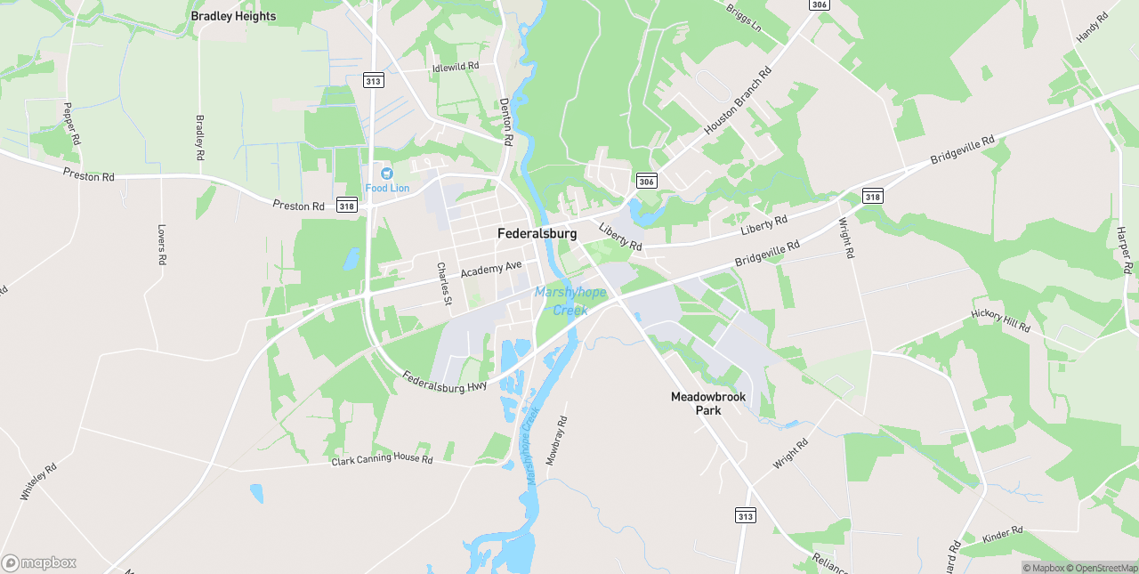 Internet in Federalsburg - 21632