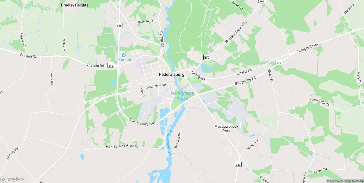 Internet in Federalsburg