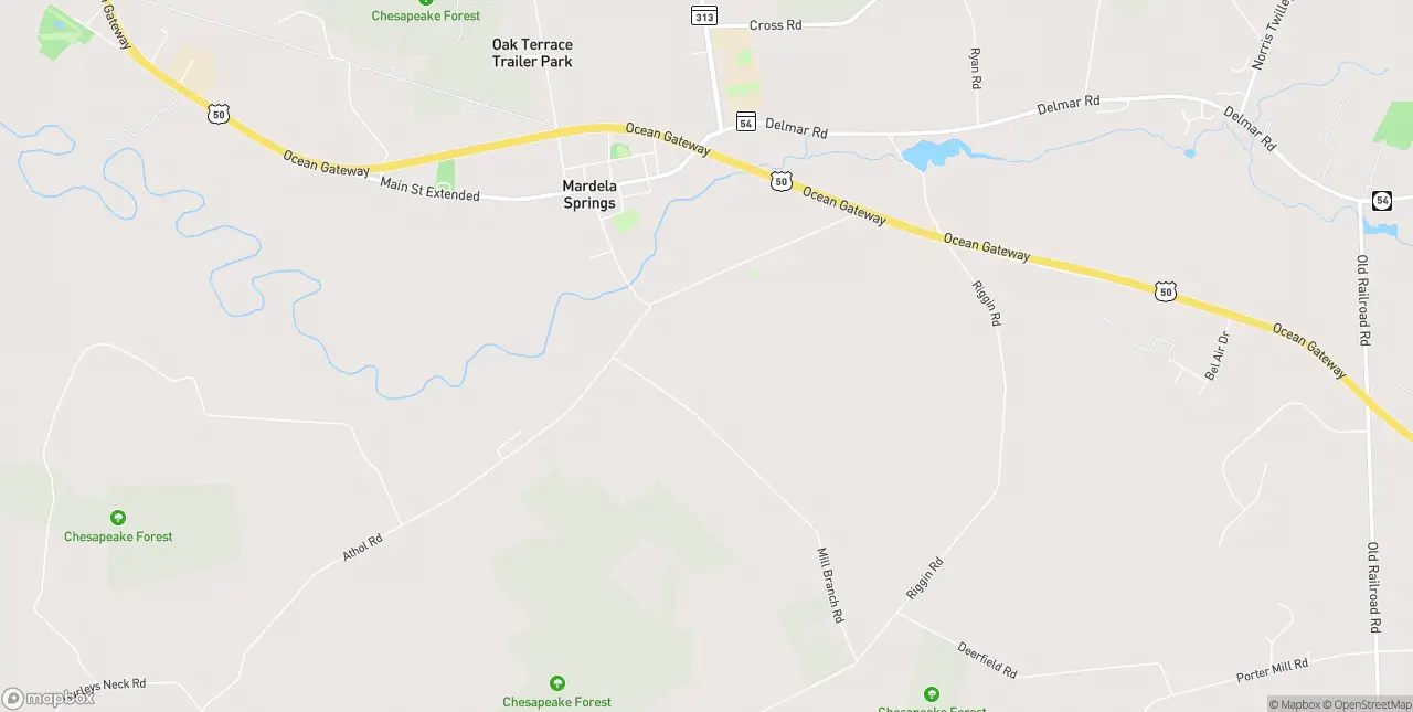 Internet in Mardela Springs