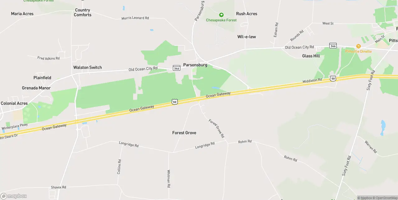 Internet in Parsonsburg