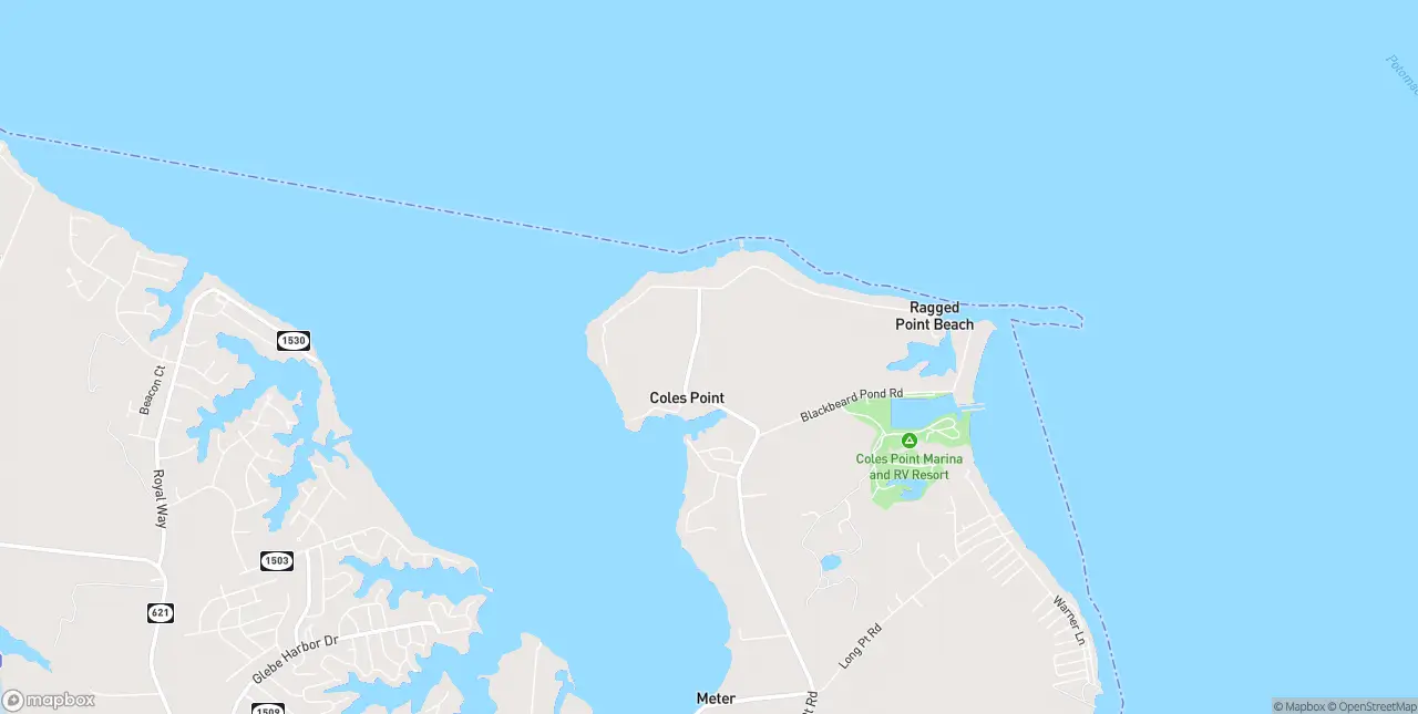 Internet in Coles Point