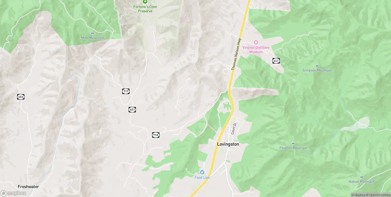 Internet in Lovingston