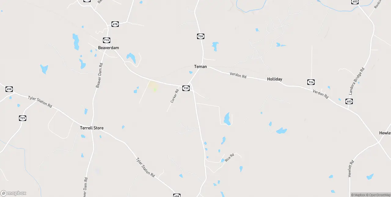 Internet in Beaverdam
