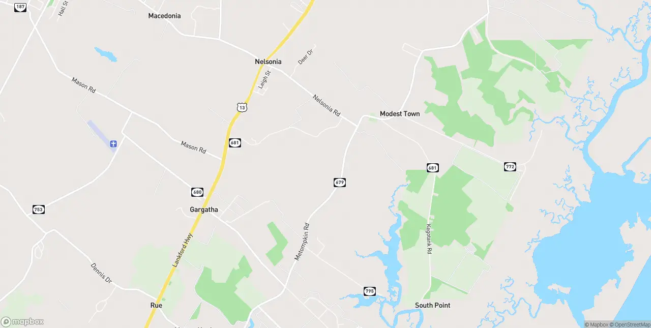 Internet in Nelsonia