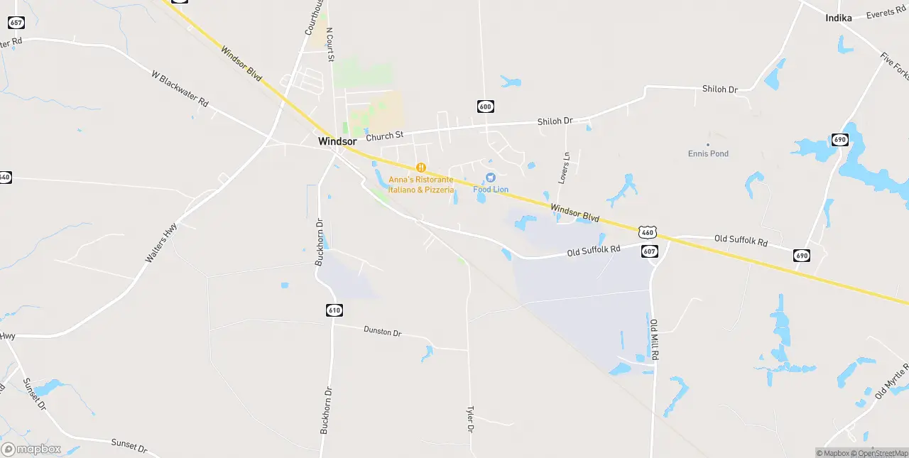 Internet in Windsor