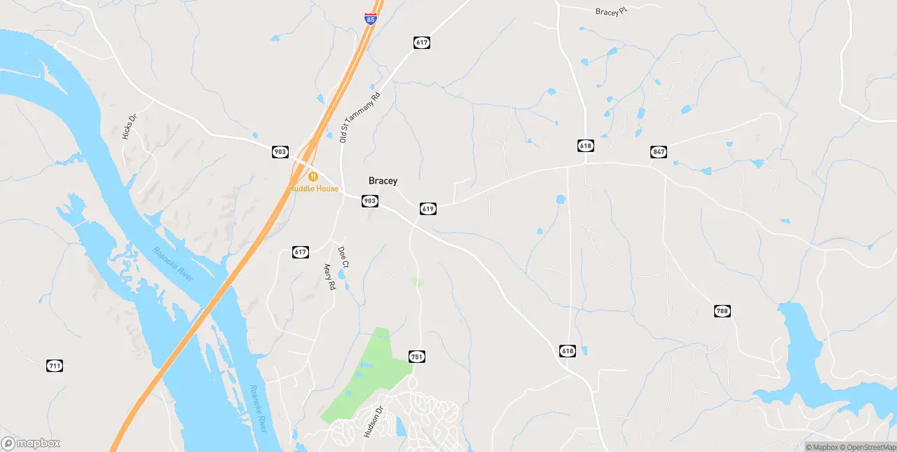Internet in Bracey