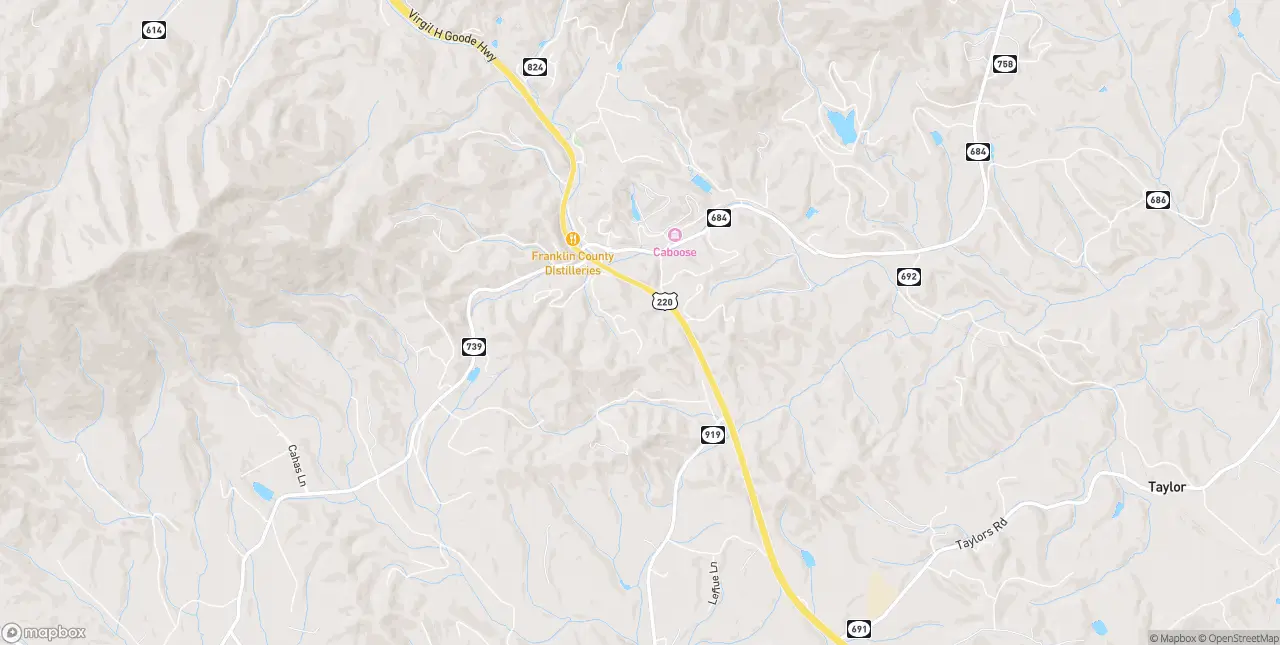 Internet in Boones Mill