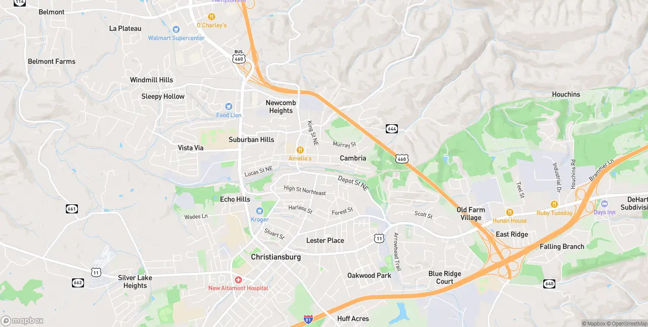 Internet in Christiansburg