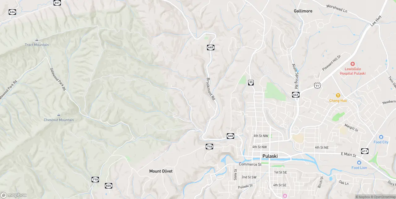 Internet in Pulaski