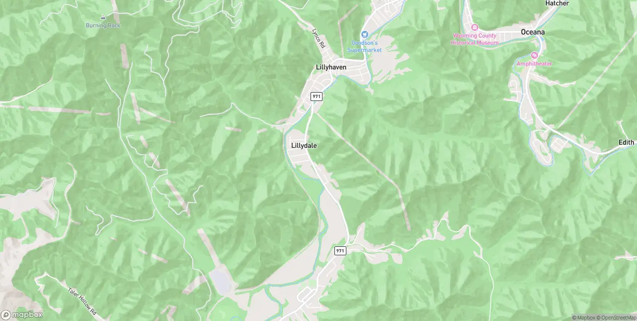 Internet in Lynco