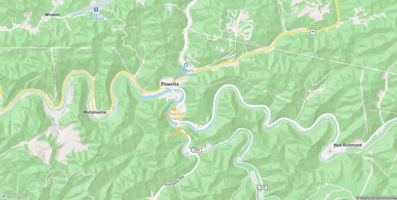 Internet in Pineville