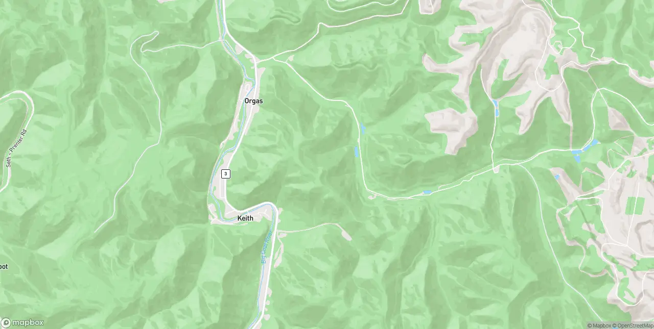 Internet in Orgas