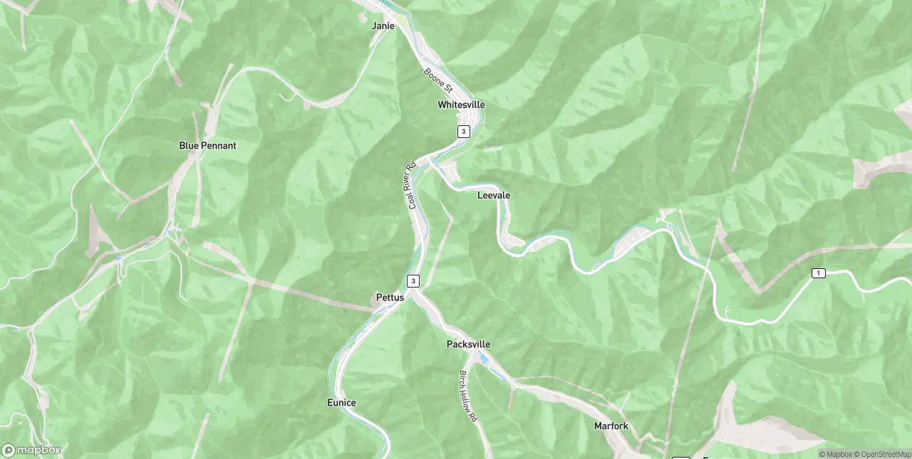 Internet in Whitesville