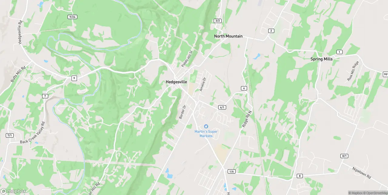 Internet in Hedgesville