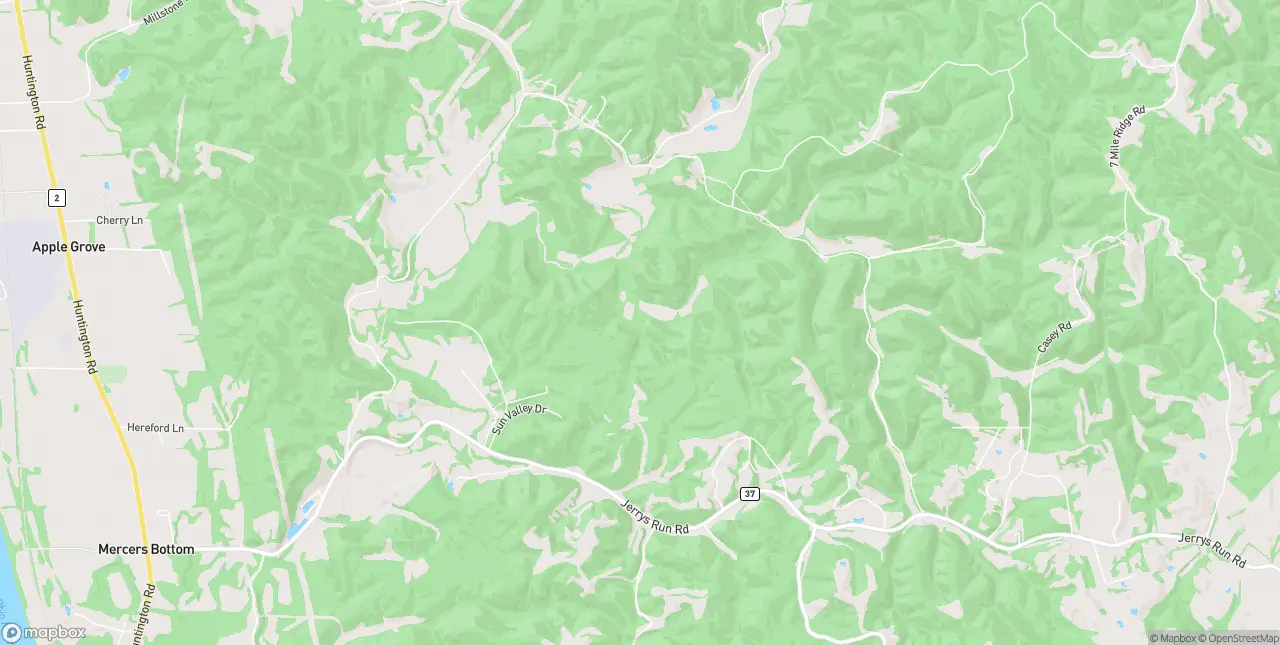 Internet in Apple Grove