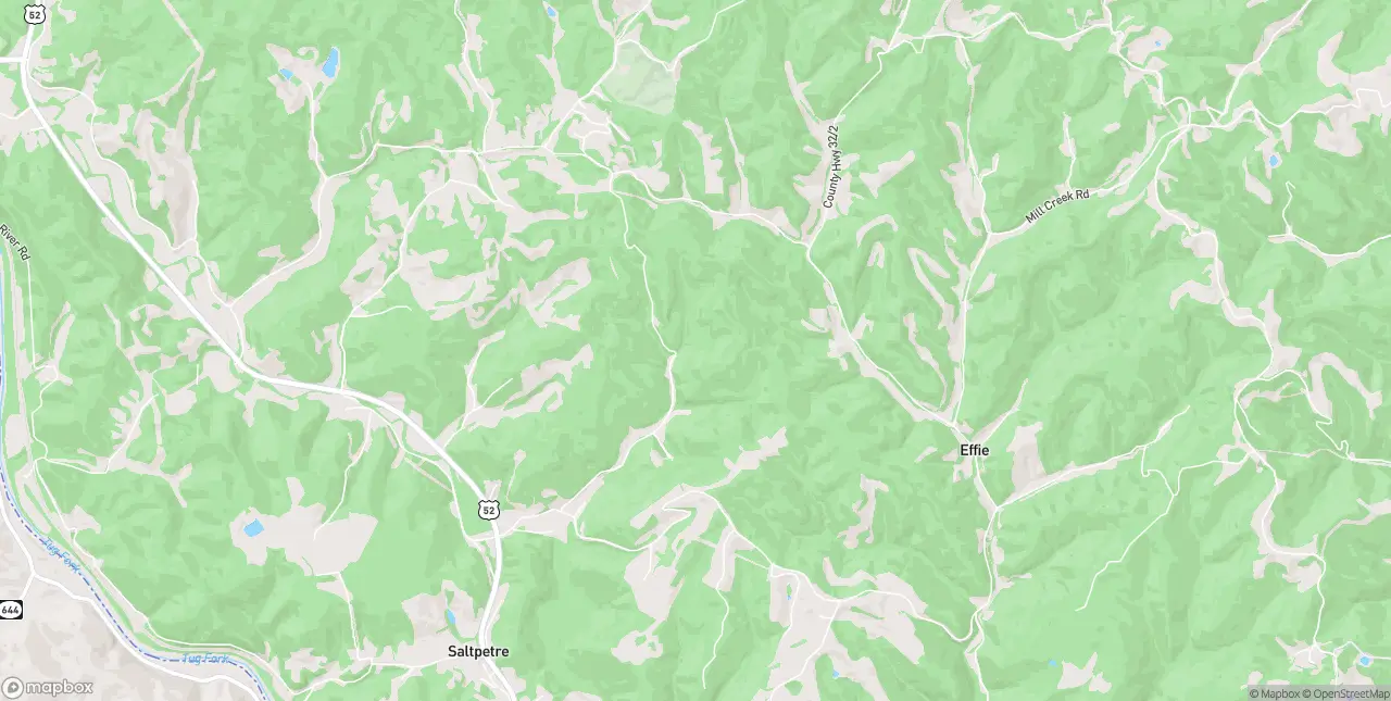 Internet in Fort Gay