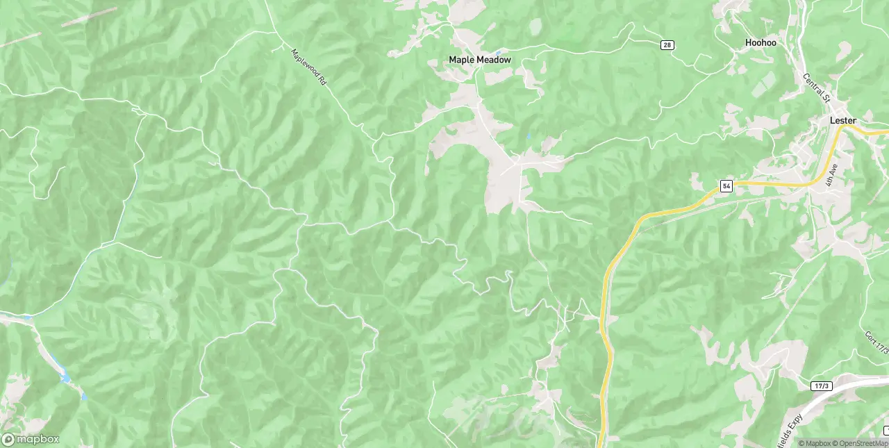 Internet in Lester